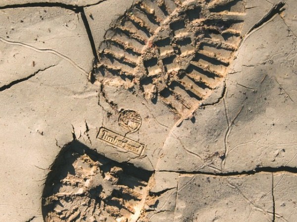 How God Preserves&nbsp;Humanity